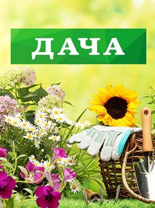 Телеканал Дача